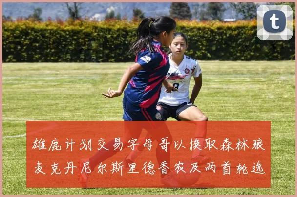 雄鹿计划交易字母哥以换取森林狼麦克丹尼尔斯里德香农及两首轮选秀权