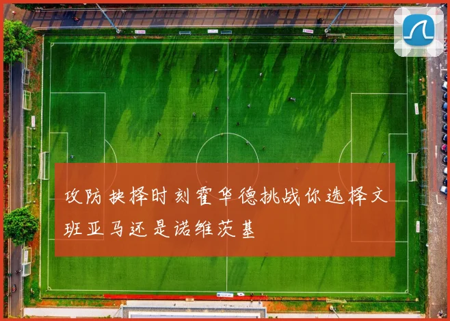 攻防抉择时刻霍华德挑战你选择文班亚马还是诺维茨基